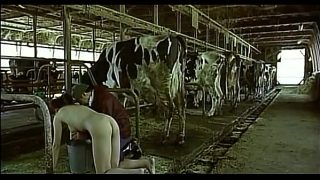 Asian woman pretending to be a cow milked him as a man boobs